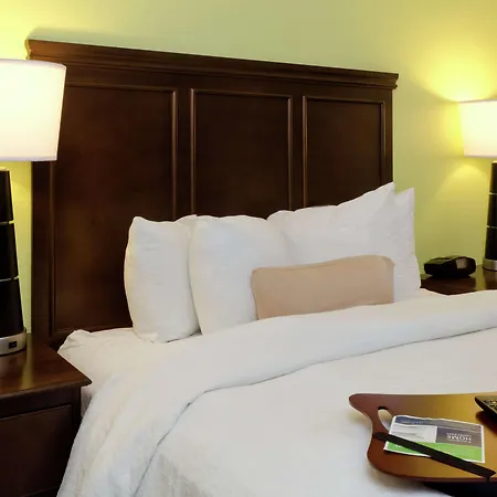 Hampton Inn & Suites Miami-Doral Dolphin Mall-2